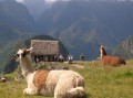 Machu Picchu, az reg cscs rejtlyes kincse - 