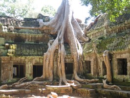 Angkor - romváros a dzsungel mélyén 