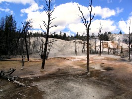 Yellowstone - az koturistk mekkja 