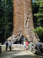 Yosemite Nemzeti Park - csodk Kaliforniban 