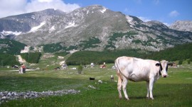 Durmitor Nemzeti Park 