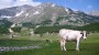 Durmitor Nemzeti Park