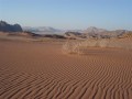 Wadi Rum - a hold völgye   - 