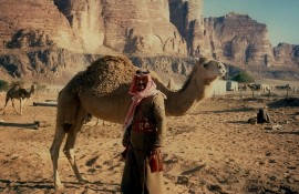 Wadi Rum - a hold vlgye   