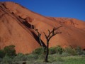 Ayers Rock, az risi csodakavics - kzelebbrl