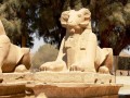 Egyiptom, Luxor, Karnak - a halhatatlan istenek földje  - Karnak