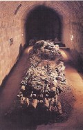 Ipolytarnóc - az ősvilági Pompeji - Megkövesedett fenyő
