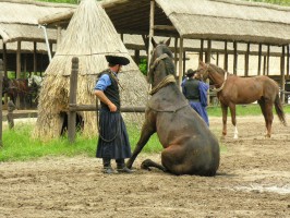 Kiskunsg, Kecskemt - az rkk szomjas tj 