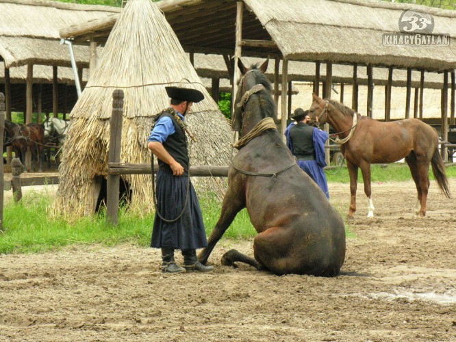 A Szonett [1965]