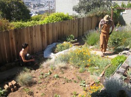 Közös kertművelés - a közösségi élmény 