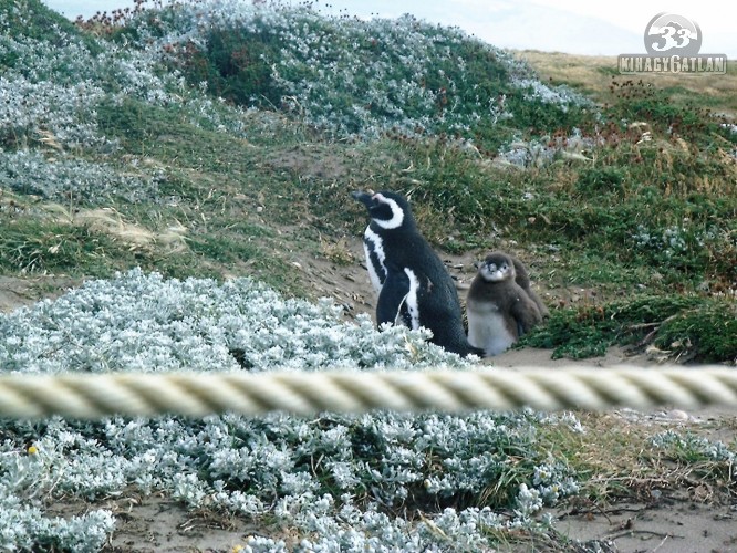 PatagÃ³nia, a szelek birodalma - TermÃ©szeti csoda