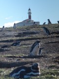 Patagnia, a szelek birodalma - 