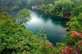 Plitvicei Nemzeti Park - A szomszd kertje 