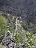 Tenerife, az örök tavasz szigete - Masca, a kalózfalu