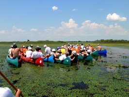 Tisza-t - a t, ami valjban nem t 