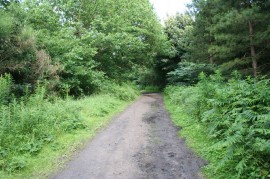Zajártalom